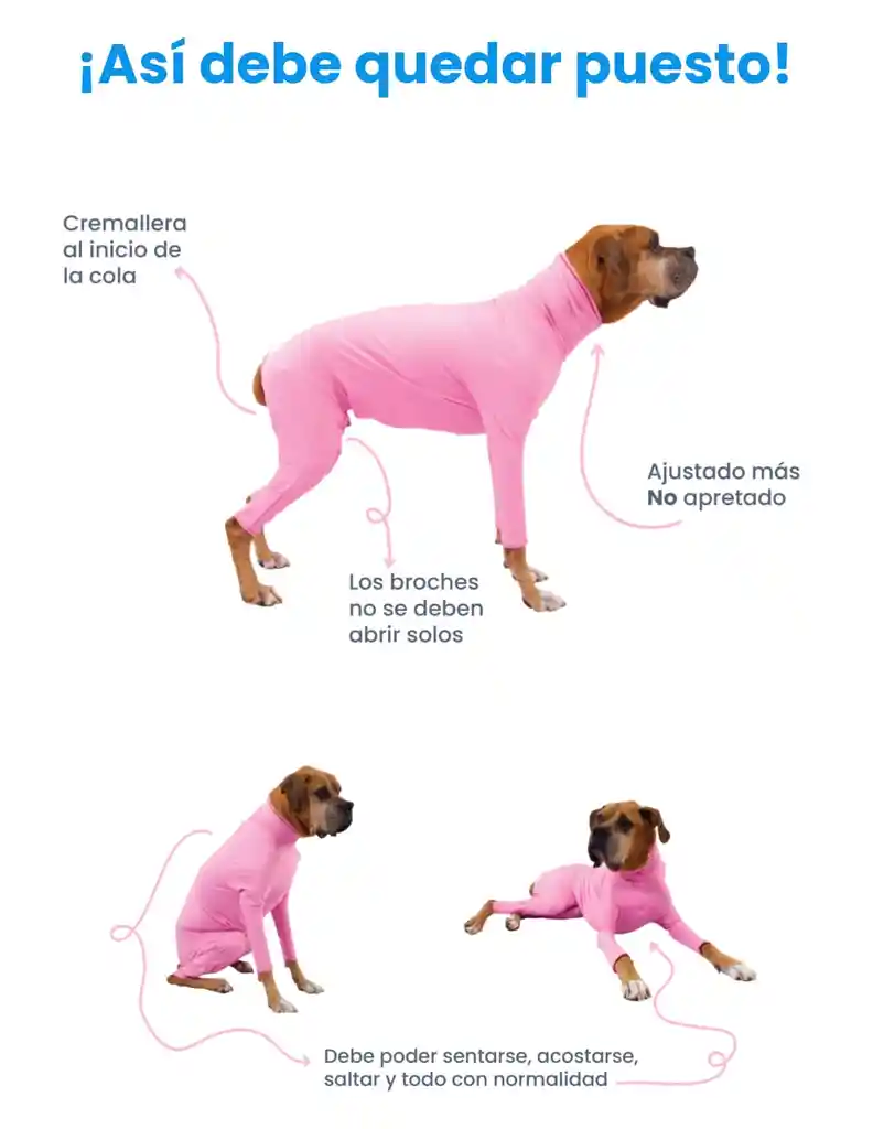 Enterizo Perro Con Mangas Lila Talla Xxs