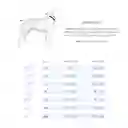 Enterizo Perro Con Mangas Lila Talla Xxs