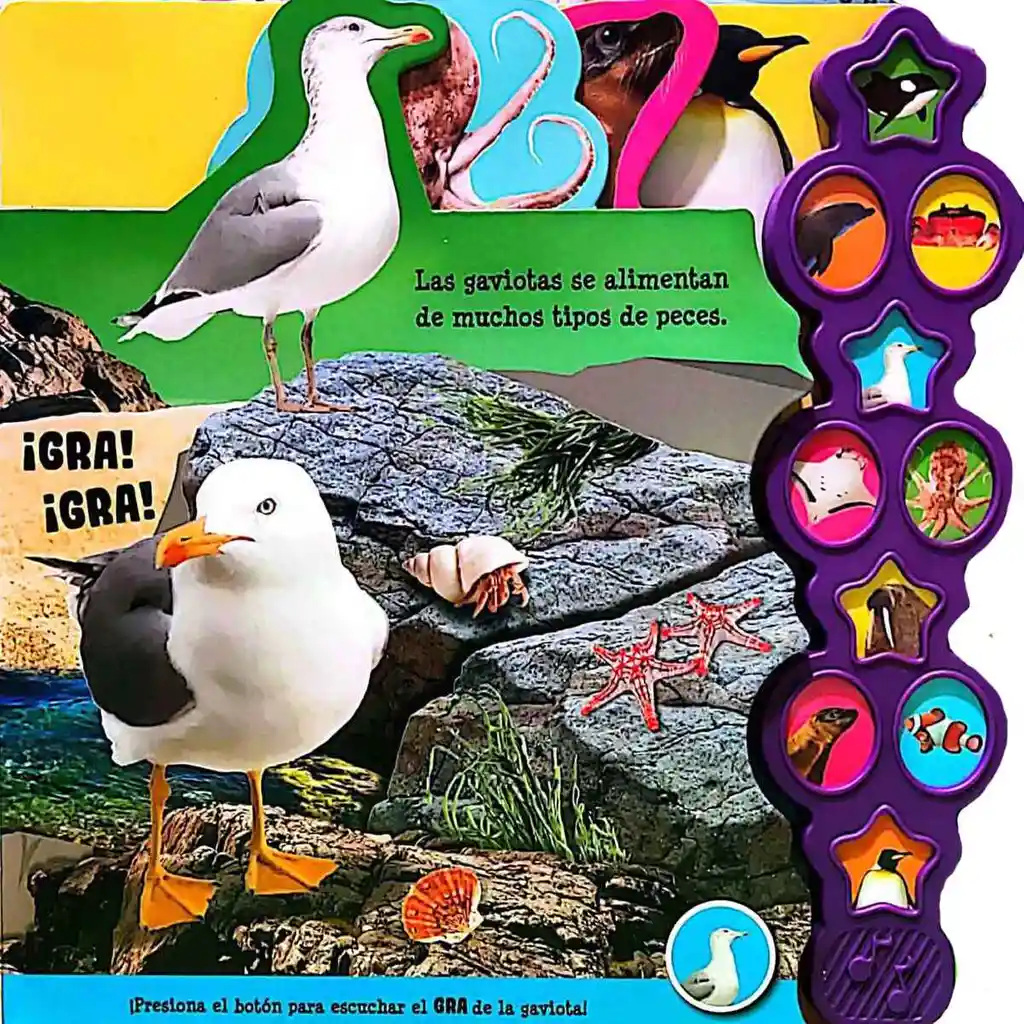 Libro Sonidos Océano Interactivo 10 Animales Marinos Niños