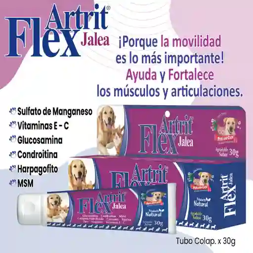 Artri Flex Jalea Mascotas Glucosamina Colageno Para Mascotas En Jalea 30gr Articulaciones Perros Y Gatos