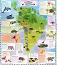 Libro Infantil Atlas De Animales Exploración Mundial Niños