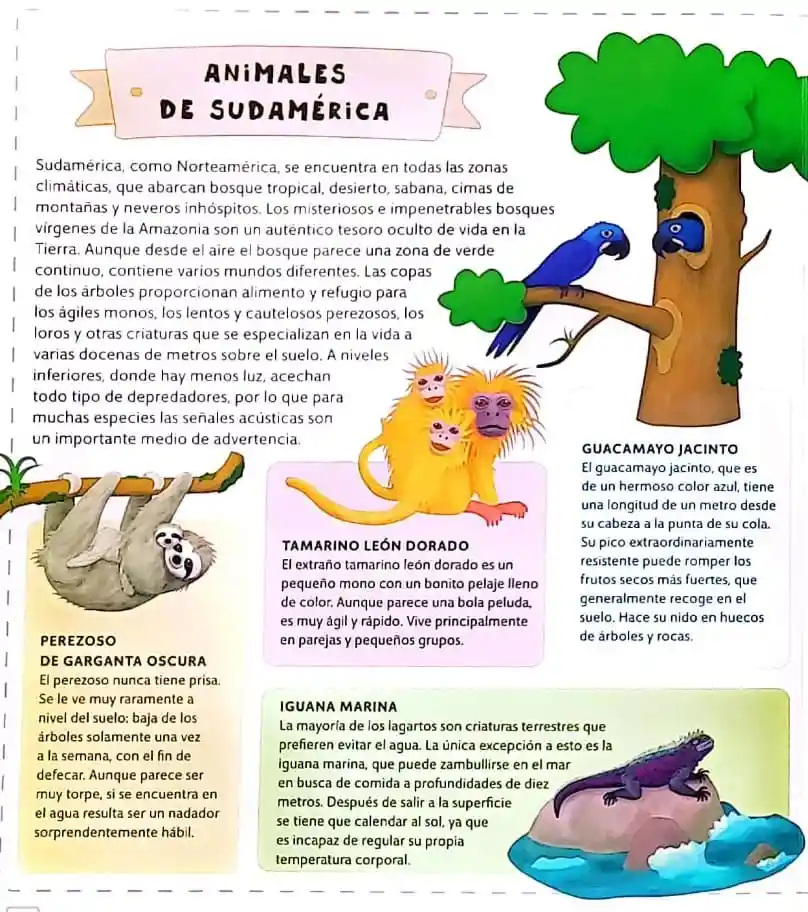 Libro Infantil Atlas De Animales Exploración Mundial Niños