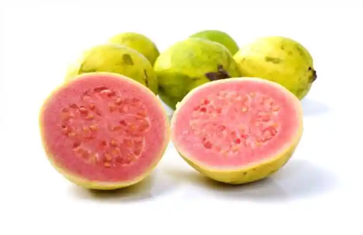 Guayaba