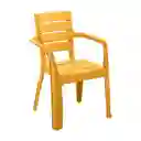 Silla Barú Con Brazos Amarillo Mostaza