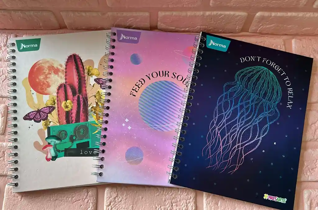 Cuaderno Argollado Cuadros Dama Grande Pasta Dura Expresarte 80 Hojas