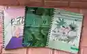 Cuaderno Argollado Dama Grande Economico Pappyer 80 Hojas