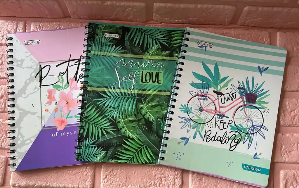 Cuaderno Argollado Dama Grande Economico Pappyer 80 Hojas