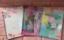 Cuaderno Argollado Dama Grande Economico Pappyer 80 Hojas