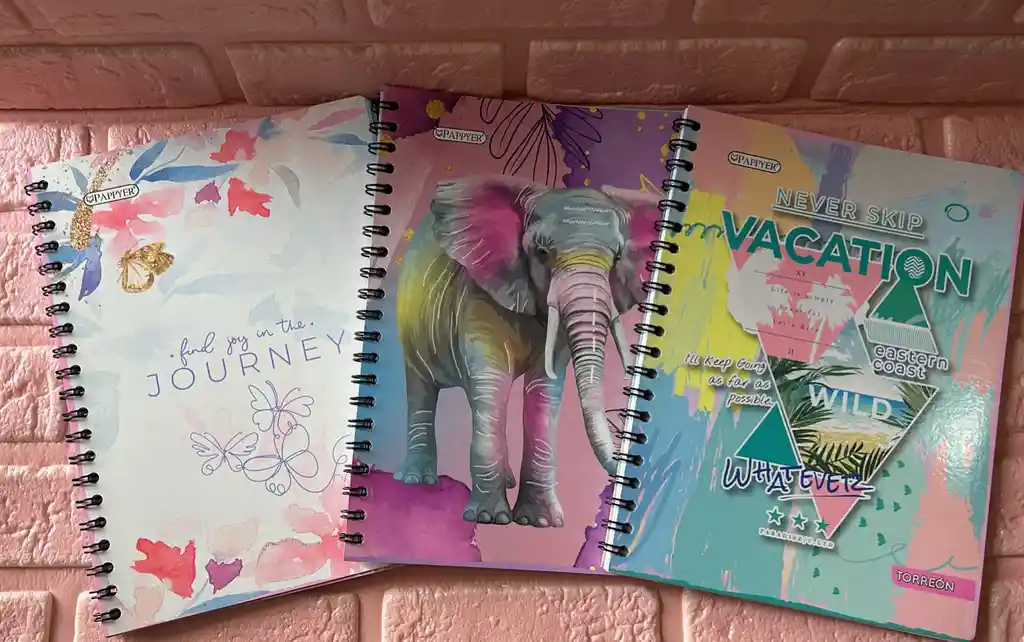 Cuaderno Argollado Dama Grande Economico Pappyer 80 Hojas