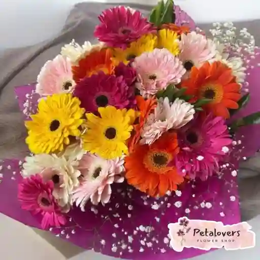 Flores Bouquet Gerberas