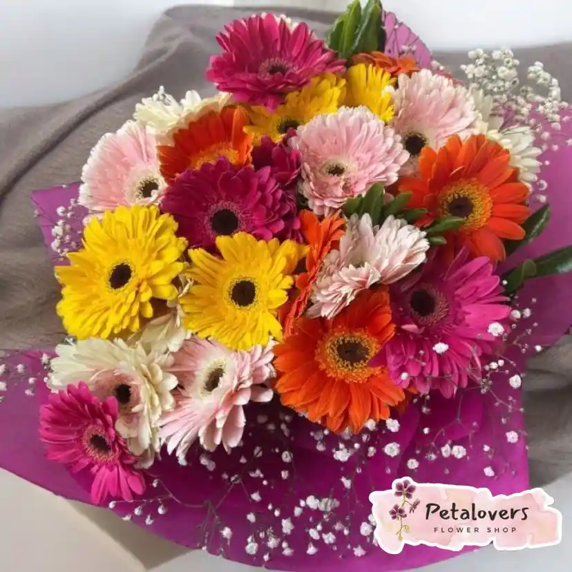 Flores Bouquet Gerberas