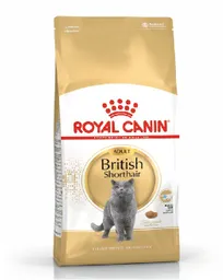 Royal C. Gato British Shorthair Adulto X 2kg