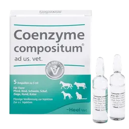 Coenzyme Compositum Vet Ampolla 5 Ml