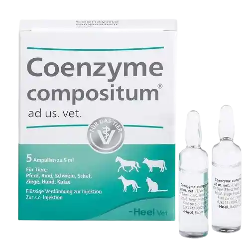 Coenzyme Compositum Vet Ampolla 5 Ml