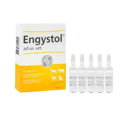 Engystol Vet Ampolla 5 Ml