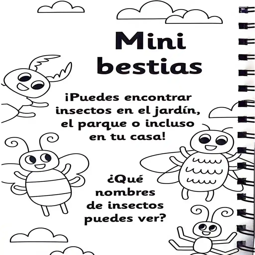 Libro Educativo Mis Primeras Palabras Pintar Con Agua Niños