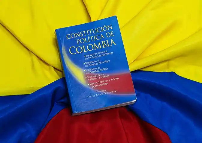 Constitución Política De Colombia 1991 Panamericana Editorial Edición Actualizada 2023
