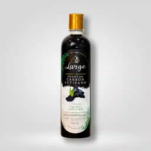 Shampoo De Carbon Activado