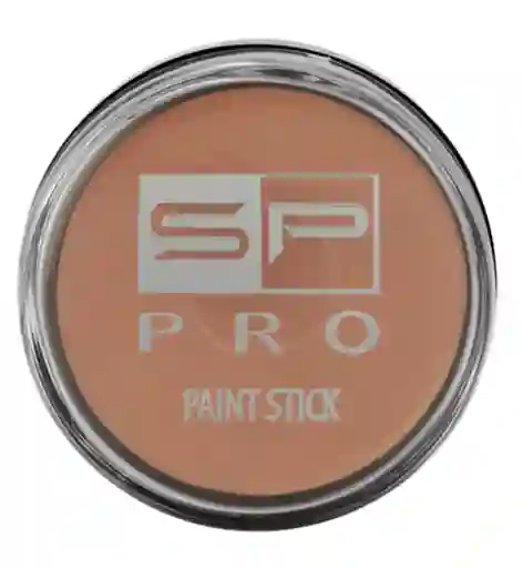 Corrector Paint Stick Sp Pro 102