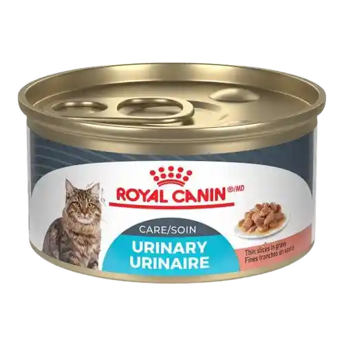 Royal Canin Urinary Care Feline Lata 85 Gr