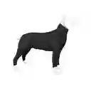 Enterizo Perro Con Mangas Negro Onix Talla Xl