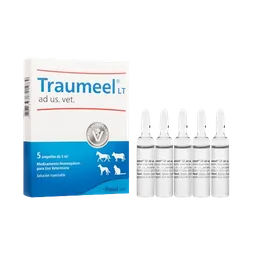 Traumeel Vet Ampolla 5 Ml