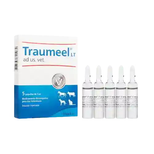 Traumeel Vet Ampolla 5 Ml