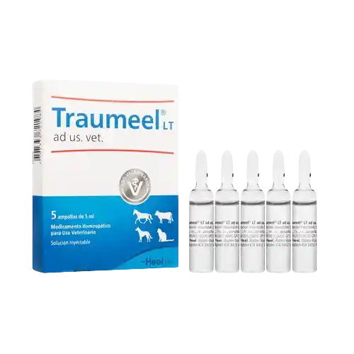 Traumeel Vet Ampolla 5 Ml