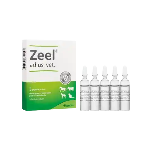 Zeel Vet Ampolla 5 Ml