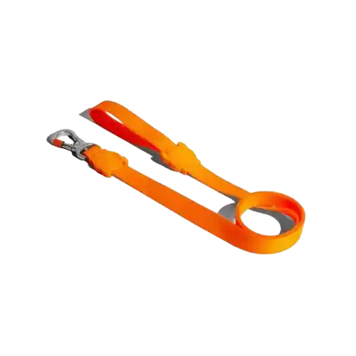 Correa Zeedog Neopro Tangerine - S