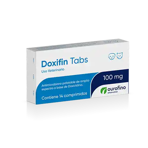 Doxifin 100 Mg Caja 14 Comprimidos