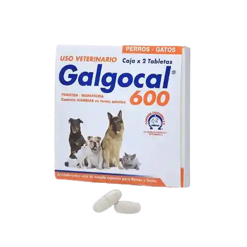 Galgocal Caja Por 2 Tabletas - 600