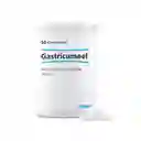 Gastricumeel 50 Tab Gastritis Reflujo Mascotas Cuidado Digestivo Mascotas