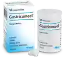 Gastricumeel 50 Tab Gastritis Reflujo Mascotas Cuidado Digestivo Mascotas