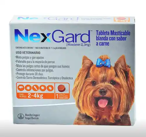 Nexgard 2-4 Kg