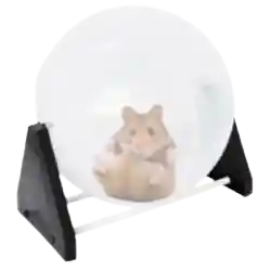Bola Para Hamster Con Soporte