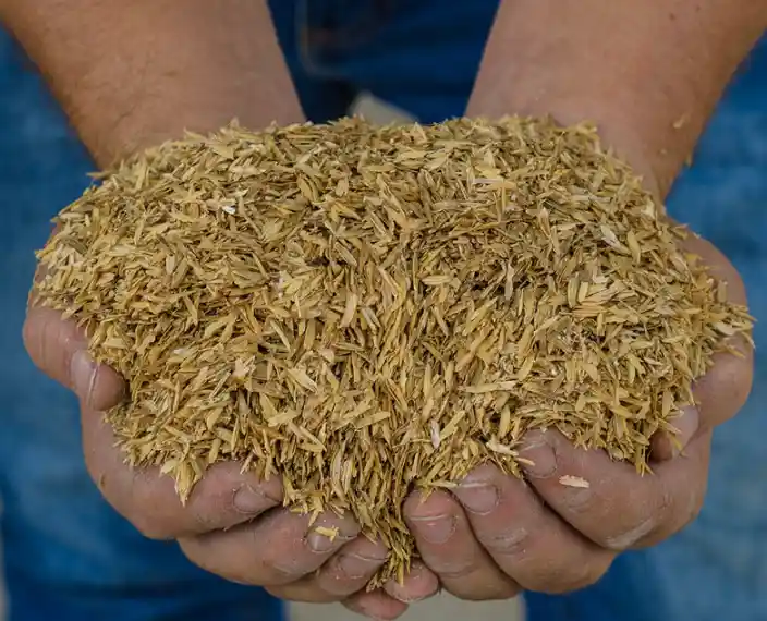 Cascarilla De Arroz Por Bulto