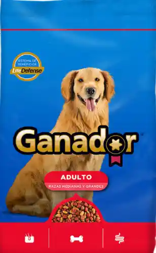 Ganador Adulto Raza Mediana Y Grandes X 2kg