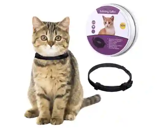 Collar Relajante Para Gatos Feromona