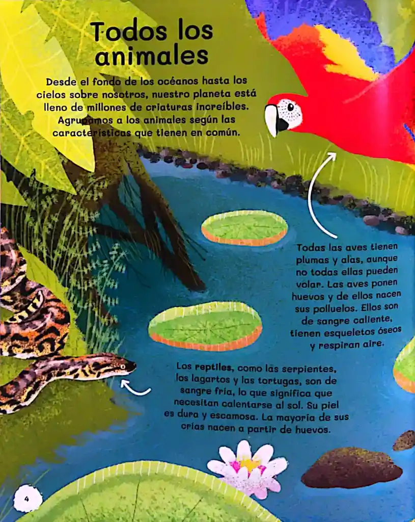 Libro Educativo Todo Sobre Animales Guía Ilustrada Niños