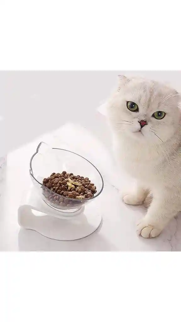 Comedero Alto Para Gatos