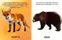 Libro Interactivos Animales Salvajes Toca Y Siente Niños