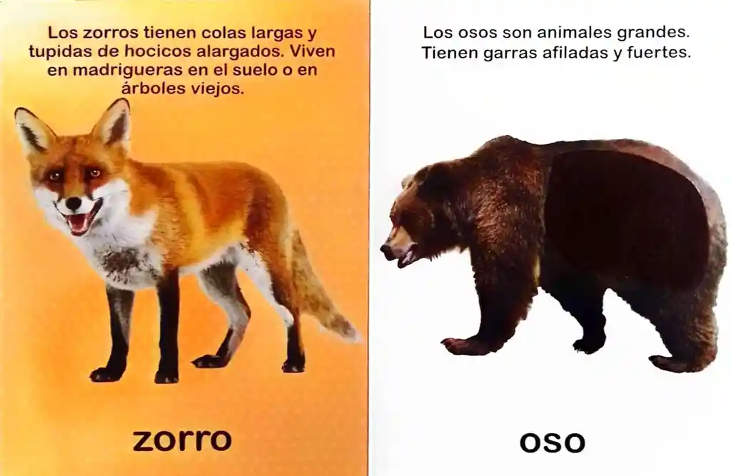 Libro Interactivos Animales Salvajes Toca Y Siente Niños