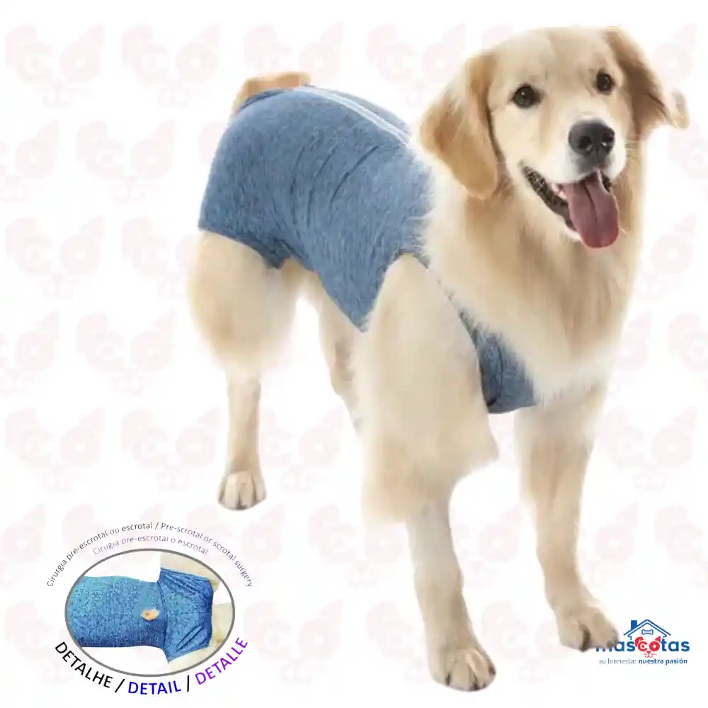 Faja Post-quirurgica Castracion Macho Duo Dry -azul Talla 02