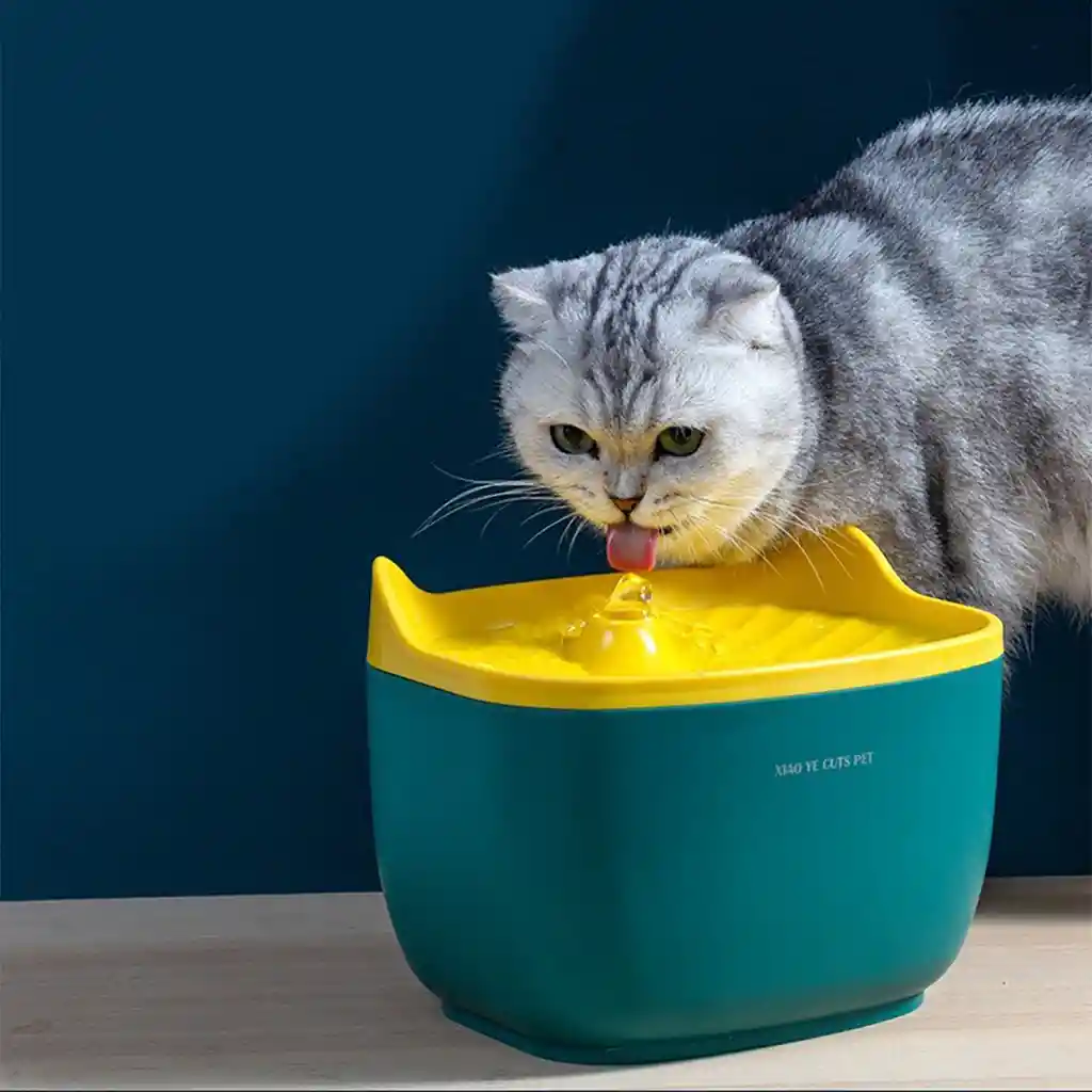 Fuente De Agua Electrica Cara De Gato De 2,5 L