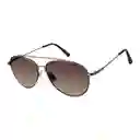 Gafas De Sol Levis Original Aviador Outlook X13176 Color Gris Oscuro Con Lente Marron Talla 56mm