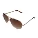 Gafas De Sol Levis Original Aviador Outlook X13039 Color Dorado Con Lente Marron Talla 62mm