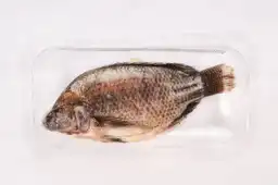 Mojarra Negra Congelada 1 Kg