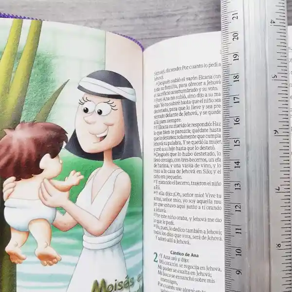 Biblia Amigos Por Siempre Con Cierre Rosada Rvr 1960 – Niñas