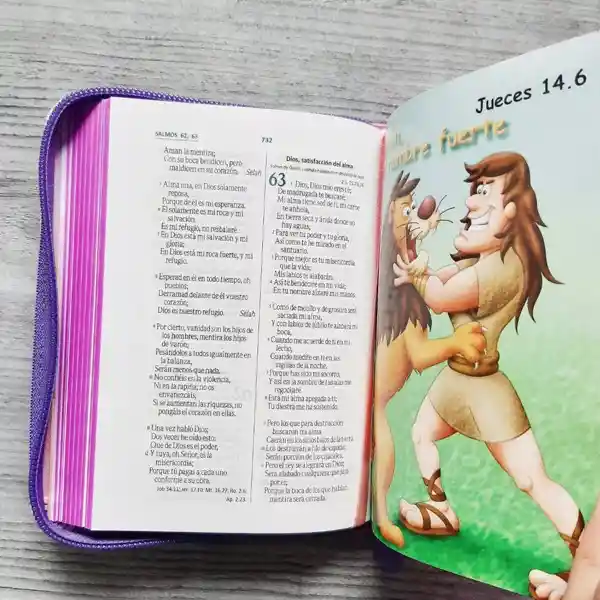 Biblia Amigos Por Siempre Con Cierre Rosada Rvr 1960 – Niñas